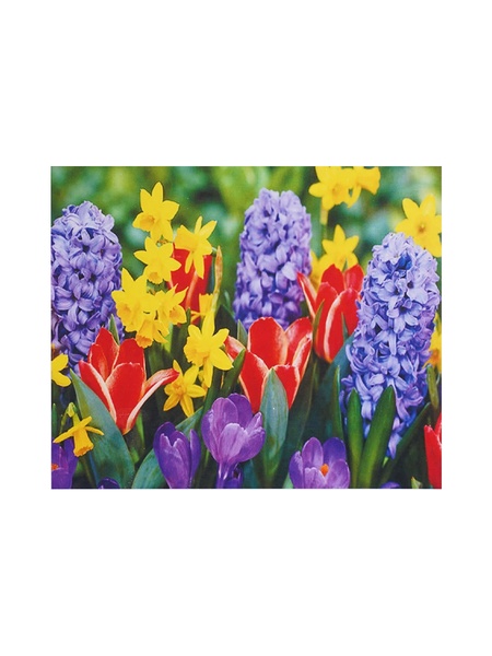 Алмазная мозаика "Весенние цветы", 30х40 см цвет разноцветный ЦБ-00217187 SKT000902210 фото