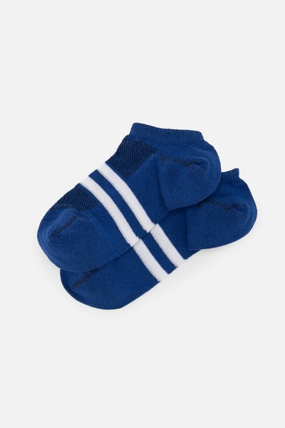 Носки для мальчика 38-40 цвет синий ЦБ-00249701 SKT000991645 фото