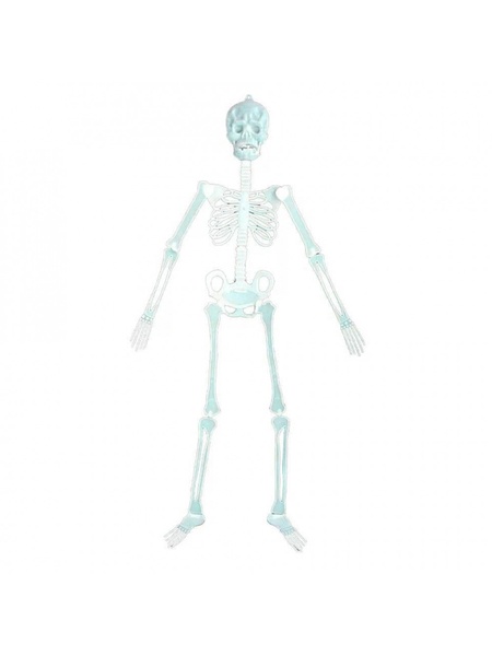 Декор на Хэллоуин - "Скелет" цвет белый ЦБ-00229756 SKT000933143 фото