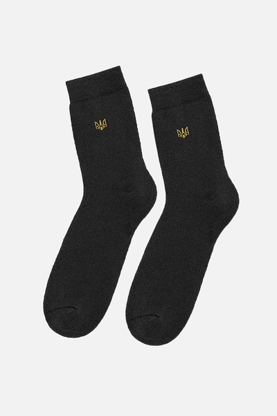 Чоловічі шкарпетки 40-42 колір чорний ЦБ-00204437 SKT000876216 фото