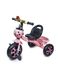 Триколісний велосипед - Scale Sports колір рожевий ЦБ-00147259 SKT000507258 фото 1